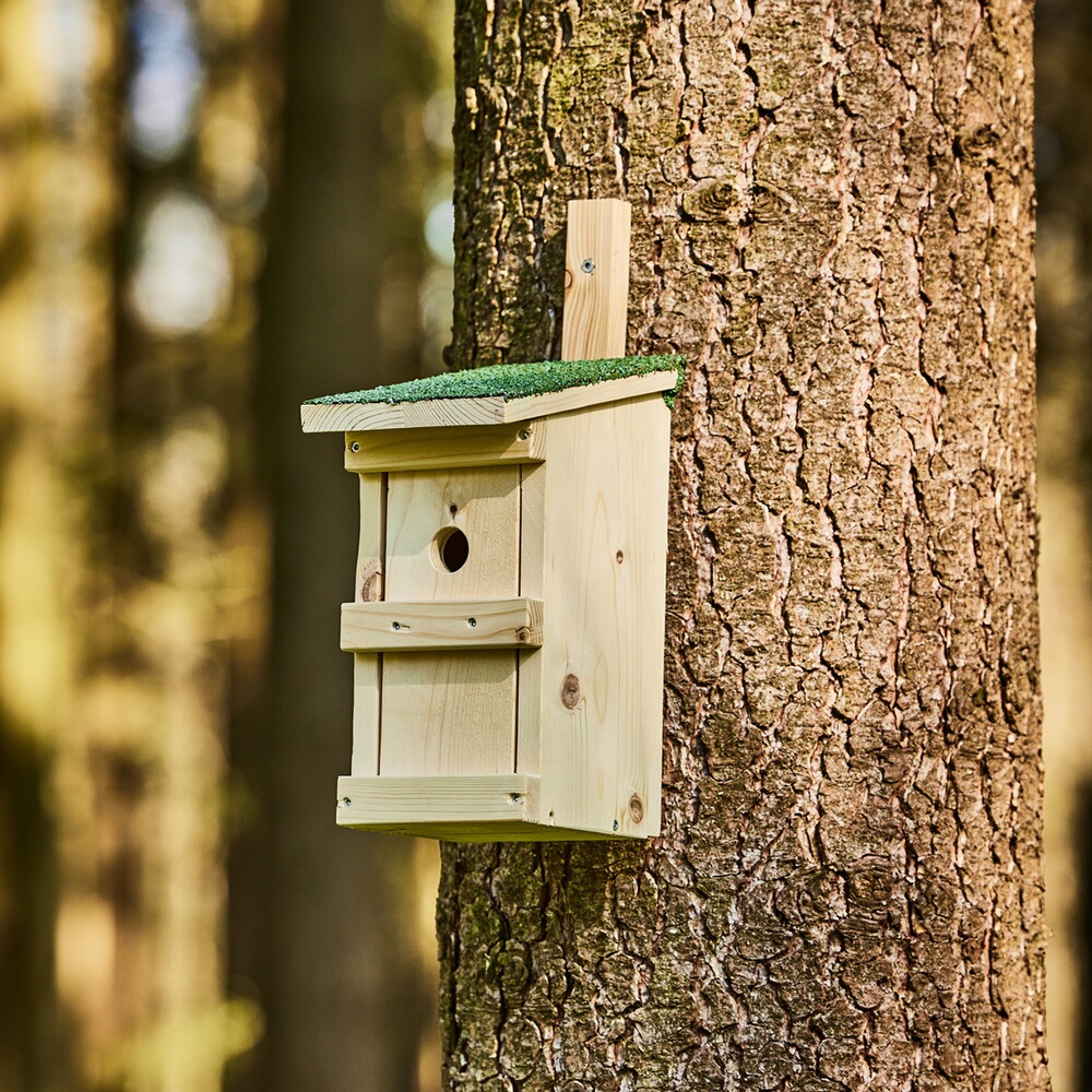 Nistkasten Basic, Wald & Forst