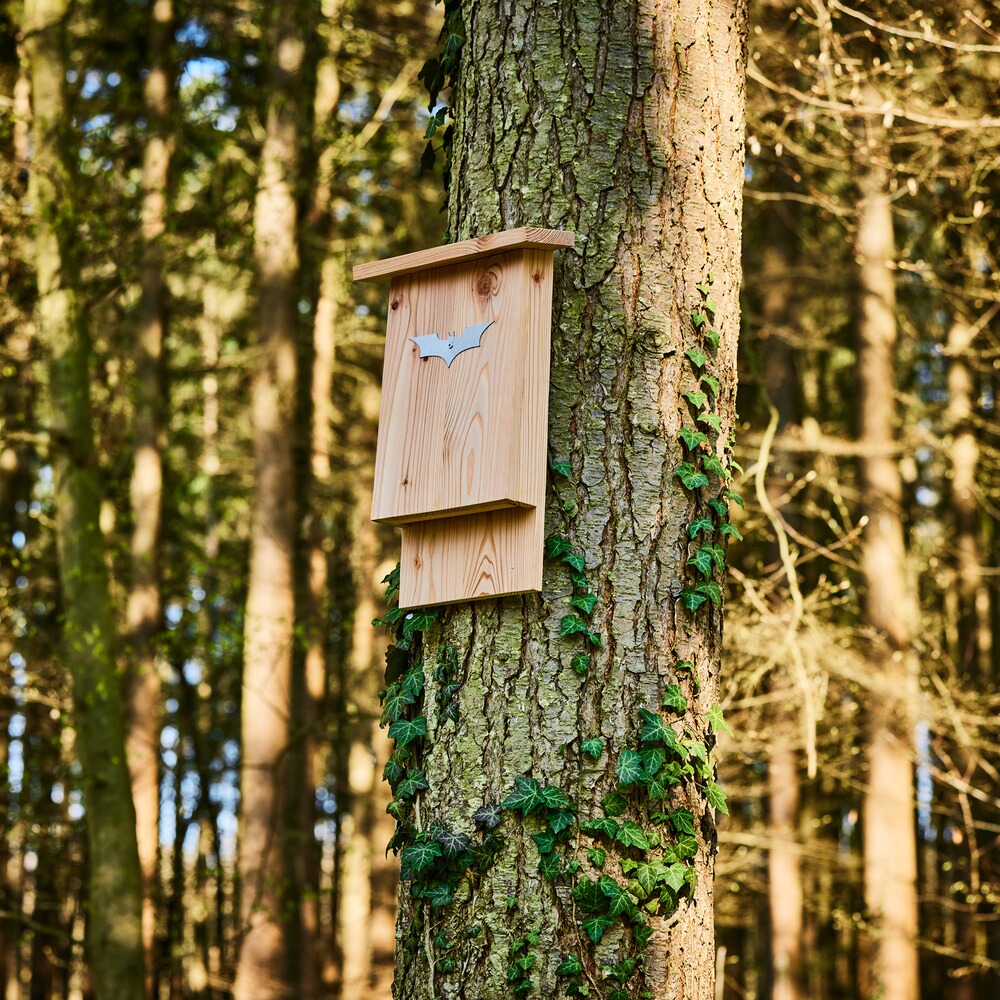 Fledermauskasten, Wald & Forst