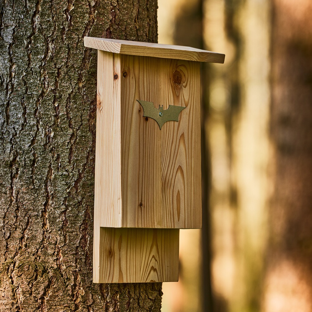 Fledermauskasten, Wald & Forst