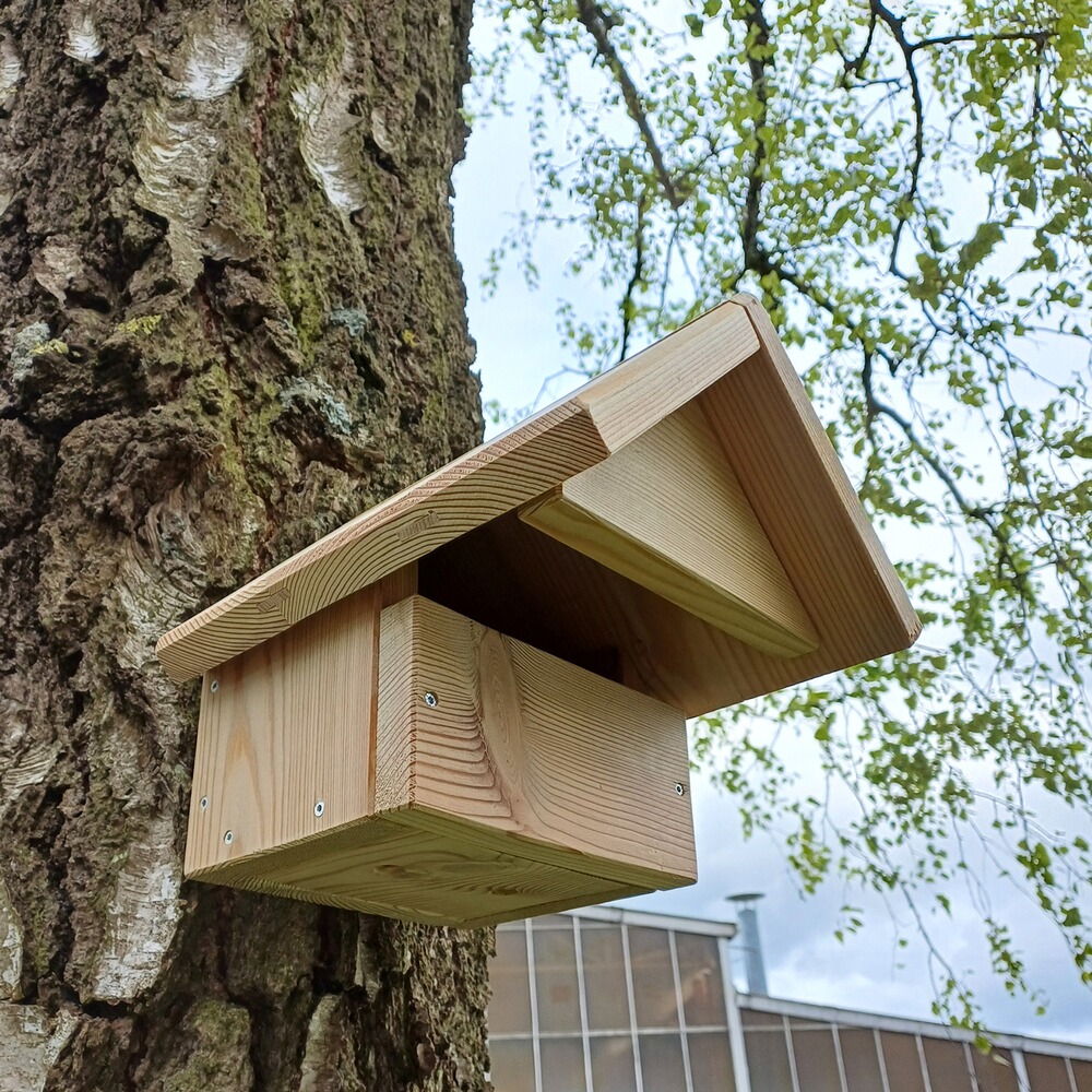 Halbhöhlenbrüter-Nistkasten, Wald & Forst