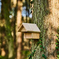 Halbhöhlenbrüter-Nistkasten, Wald & Forst