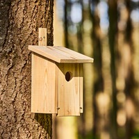 Höhlenbrüter-Nistkasten, Wald & Forst
