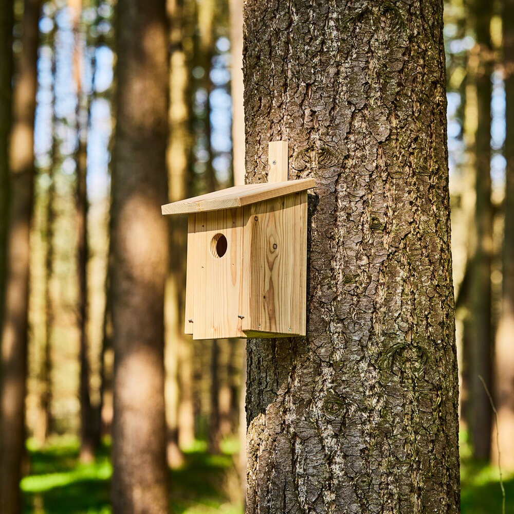 Höhlenbrüter-Nistkasten, Wald & Forst