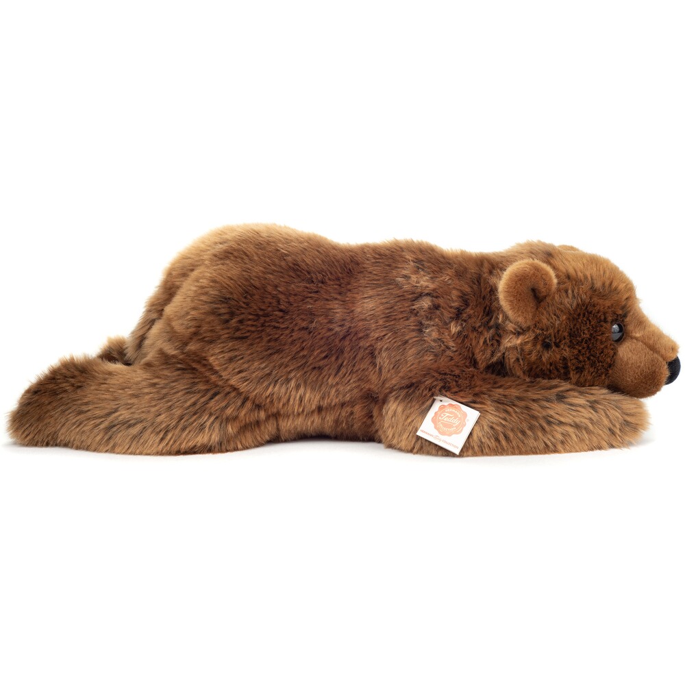 Plüschtier Braunbär, 50 cm, Teddy