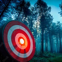 Ziel-Wärmepad (10 Stück), Thermopad