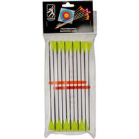Blasrohrpfeil C3 Carbon, AlexBow