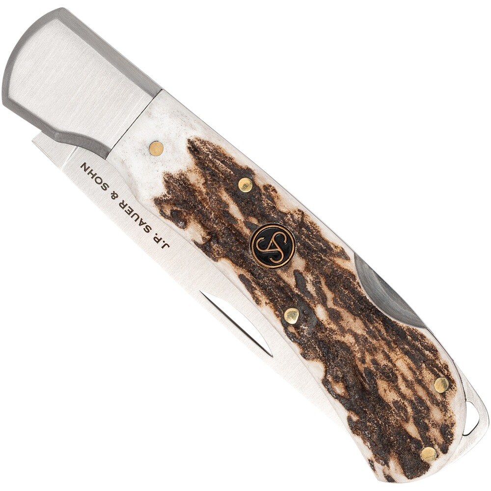 Klappmesser Hirschhorn, SAUER