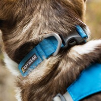 Halsband Hi & Light, Ruffwear