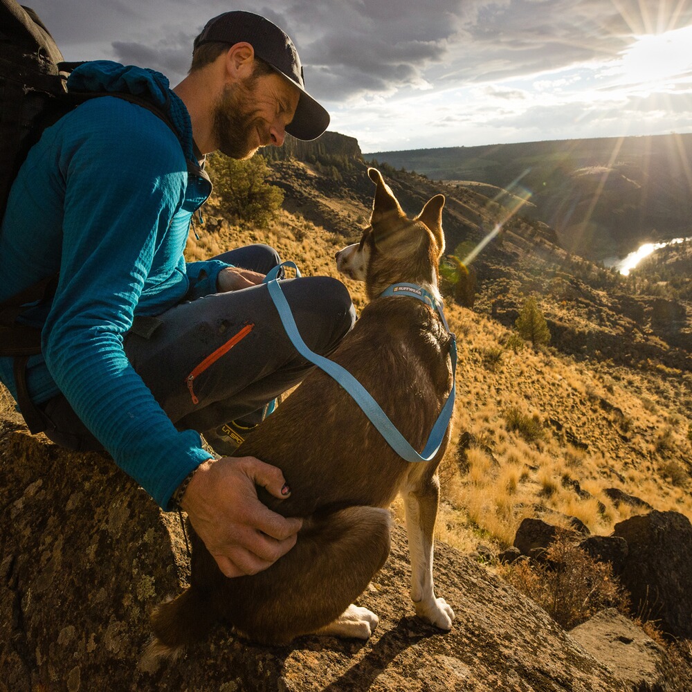 Halsband Hi & Light, Ruffwear