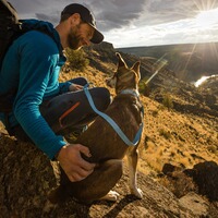 Halsband Hi & Light, Ruffwear
