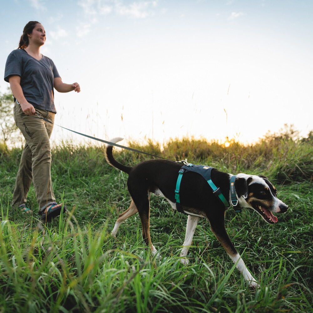 Hundegeschirr Hi & Light™ Harness, Ruffwear
