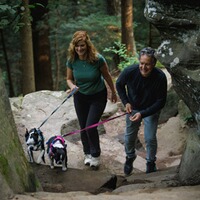 Hundegeschirr Hi & Light™ Harness, Ruffwear