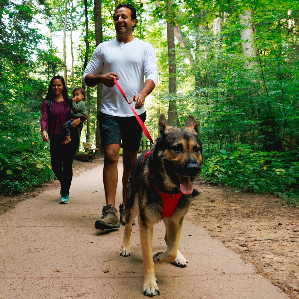 Hundegeschirr Front Range® neues Modell, Ruffwear