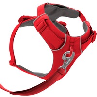 Hundegeschirr Front Range® neues Modell, Ruffwear