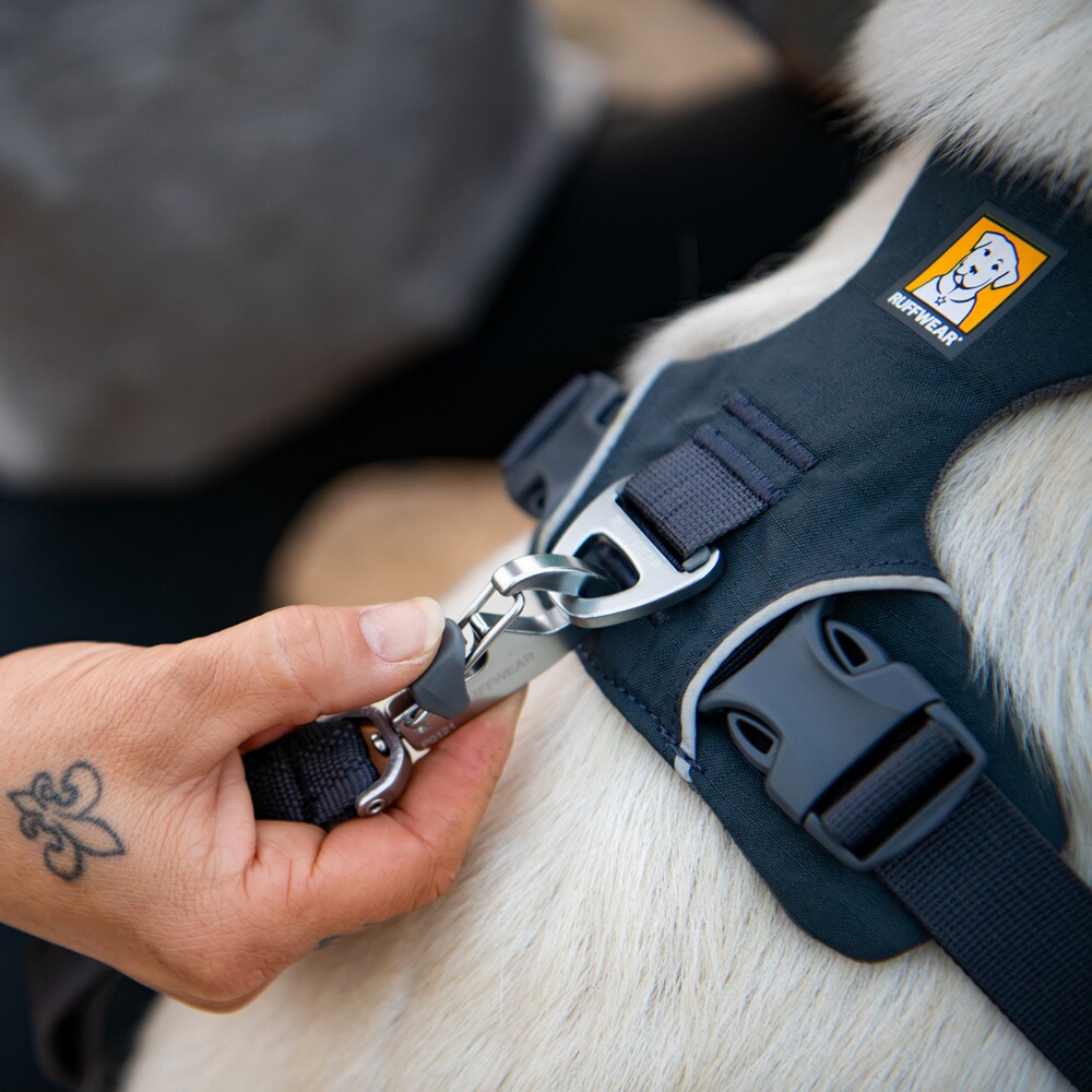 Hundegeschirr Front Range® neues Modell, Ruffwear