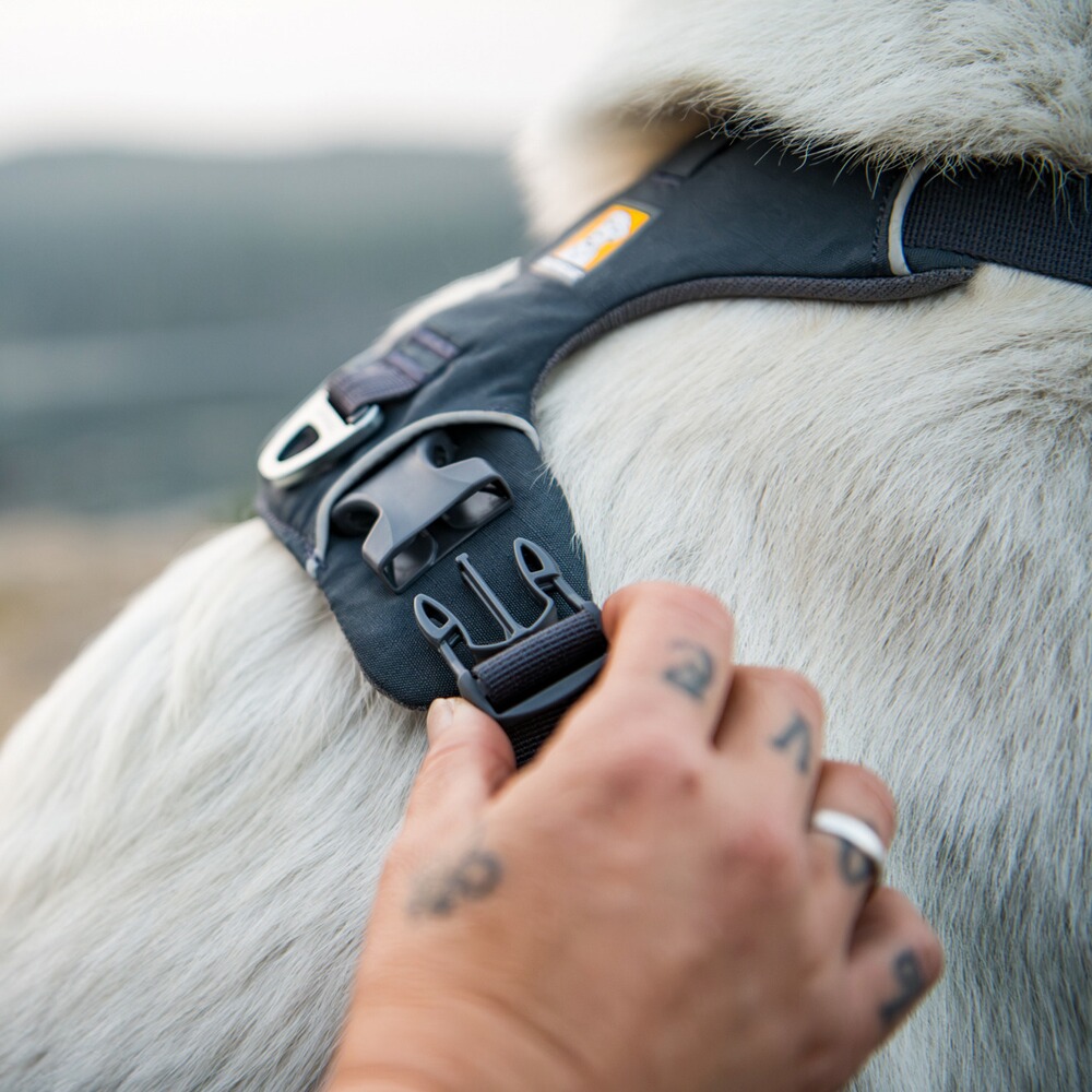 Hundegeschirr Front Range® neues Modell, Ruffwear