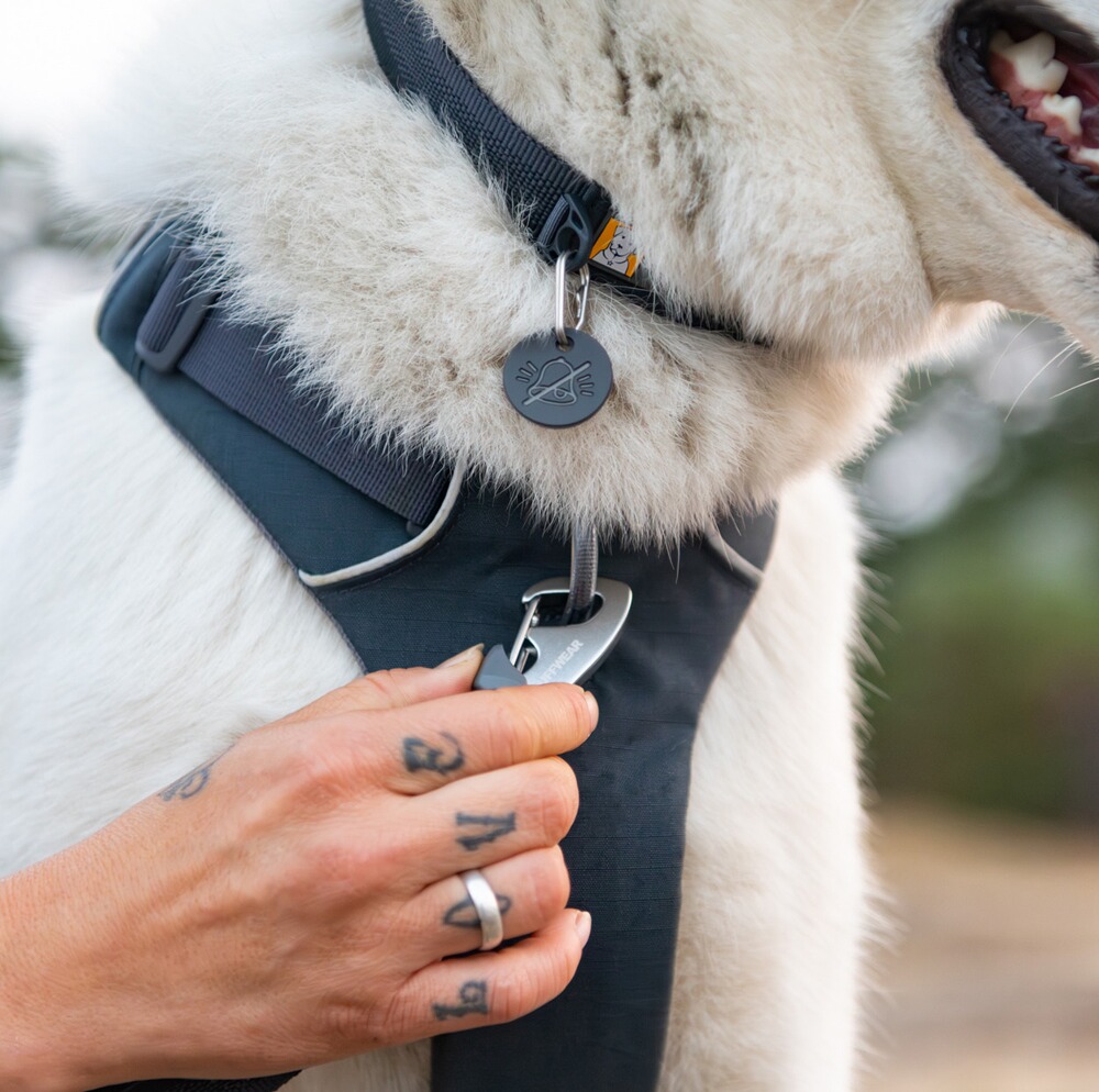 Hundegeschirr Front Range® neues Modell, Ruffwear