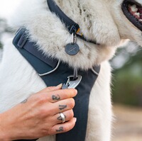 Hundegeschirr Front Range® neues Modell, Ruffwear