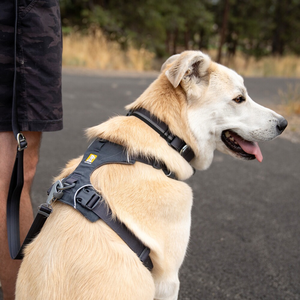 Hundegeschirr Front Range® neues Modell, Ruffwear