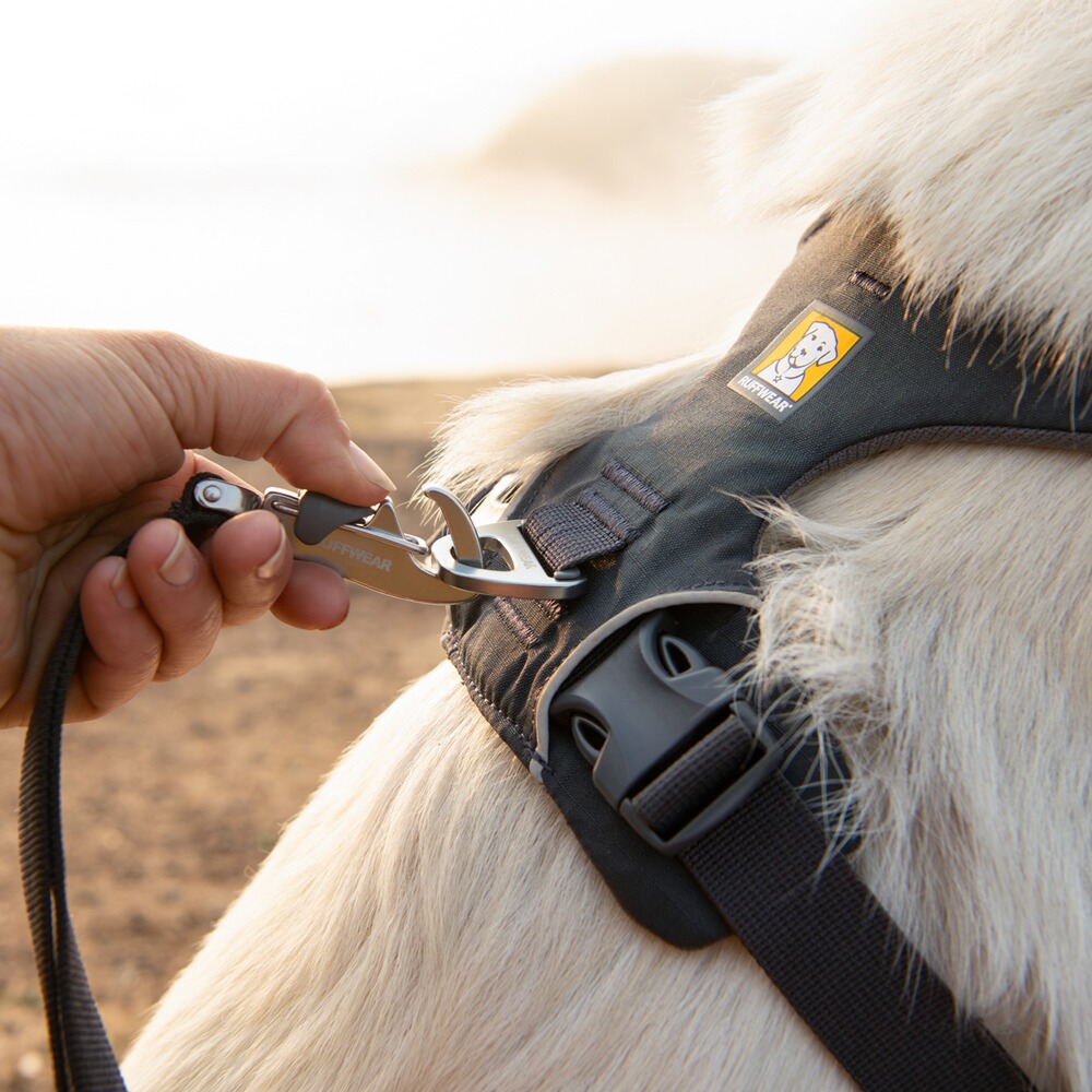Hundegeschirr Front Range® neues Modell, Ruffwear