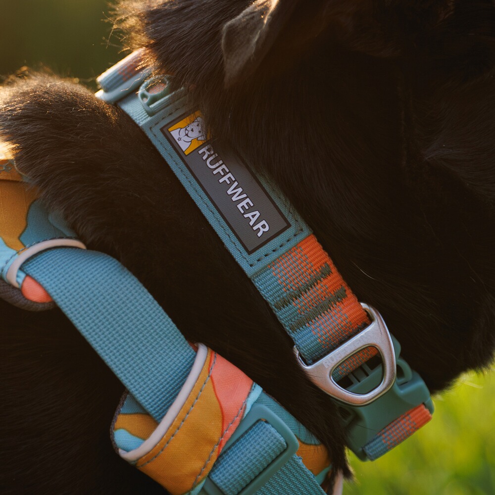 Halsband Front Range® neues Modell, Ruffwear