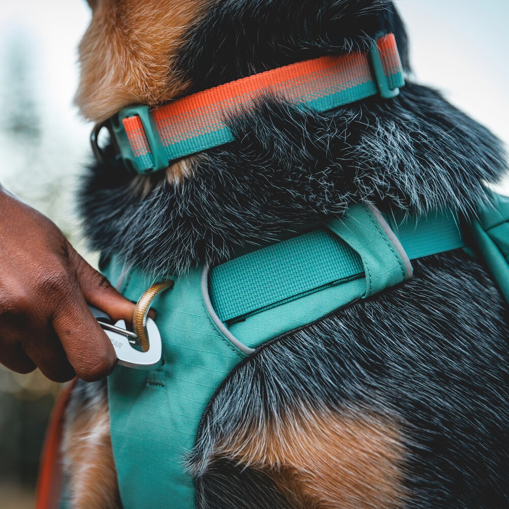 Halsband Front Range® neues Modell, Ruffwear