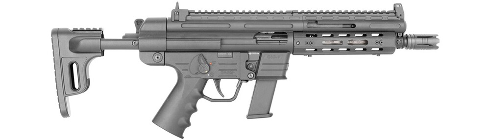 Selbstladebüchse GSG-9, German Sport Guns