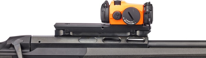 Repetierbüchse DR21 mit Grundschiene Basis Drückjagdspecial Komplettset, Dentler