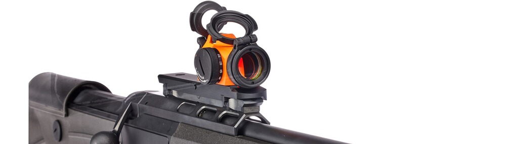 Repetierbüchse DR21 mit Grundschiene Basis Drückjagdspecial Komplettset, Dentler