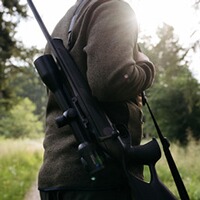 Zielfernrohr Z8i+ 5–40x56 P mit Schiene, Swarovski Optik