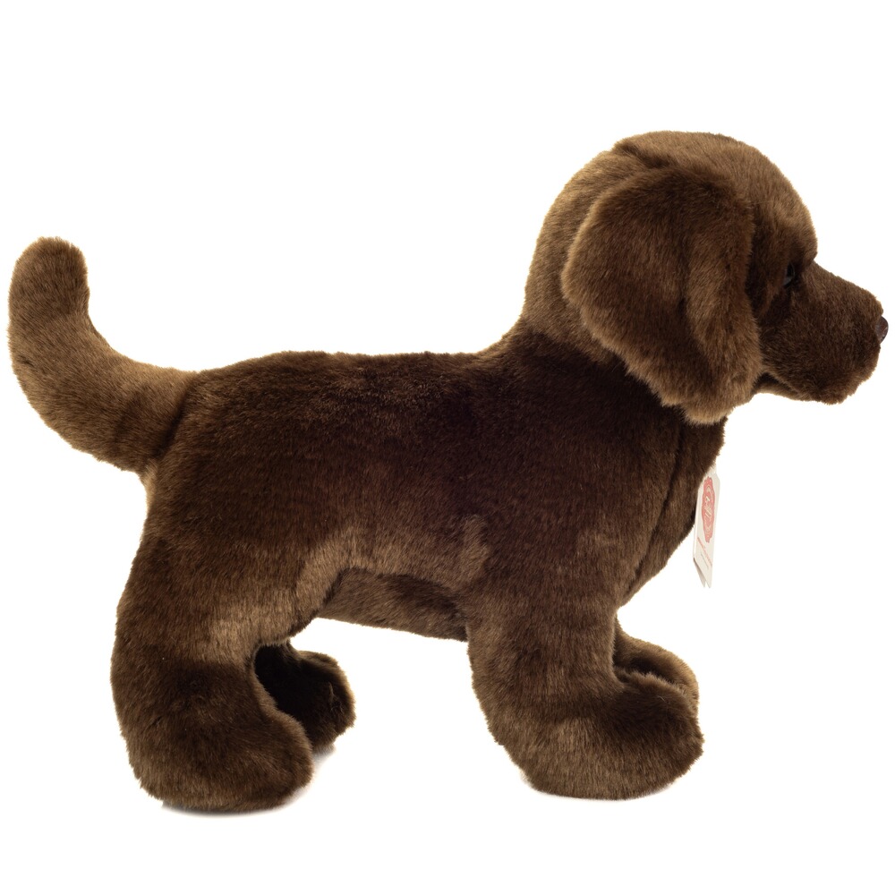 Plüschtier Labrador stehend, 30 cm, Teddy