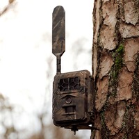 Wildkamera Base-Cam LTE SUPERSIM-Edition, SEISSIGER