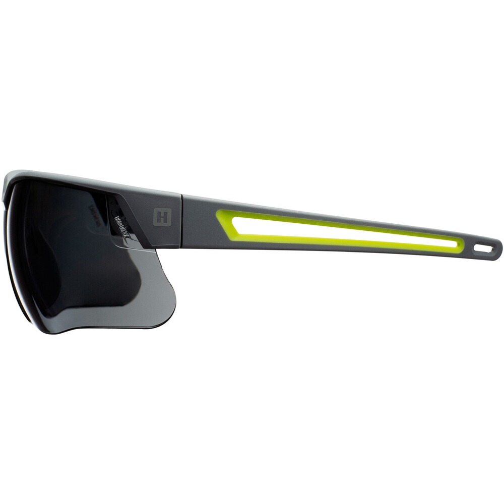 Schutzbrille Avatar Plus, Howard Leight