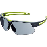 Schutzbrille Avatar Plus, Howard Leight