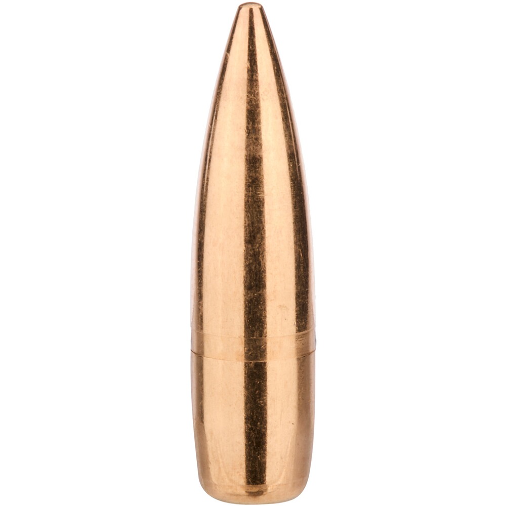 Geschosse .311 Vlm BT  11,7g/180grs.