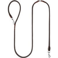 Hundeleine Leder, Blaser