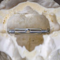 Trophäenhalterung Hirsch, EUROHUNT