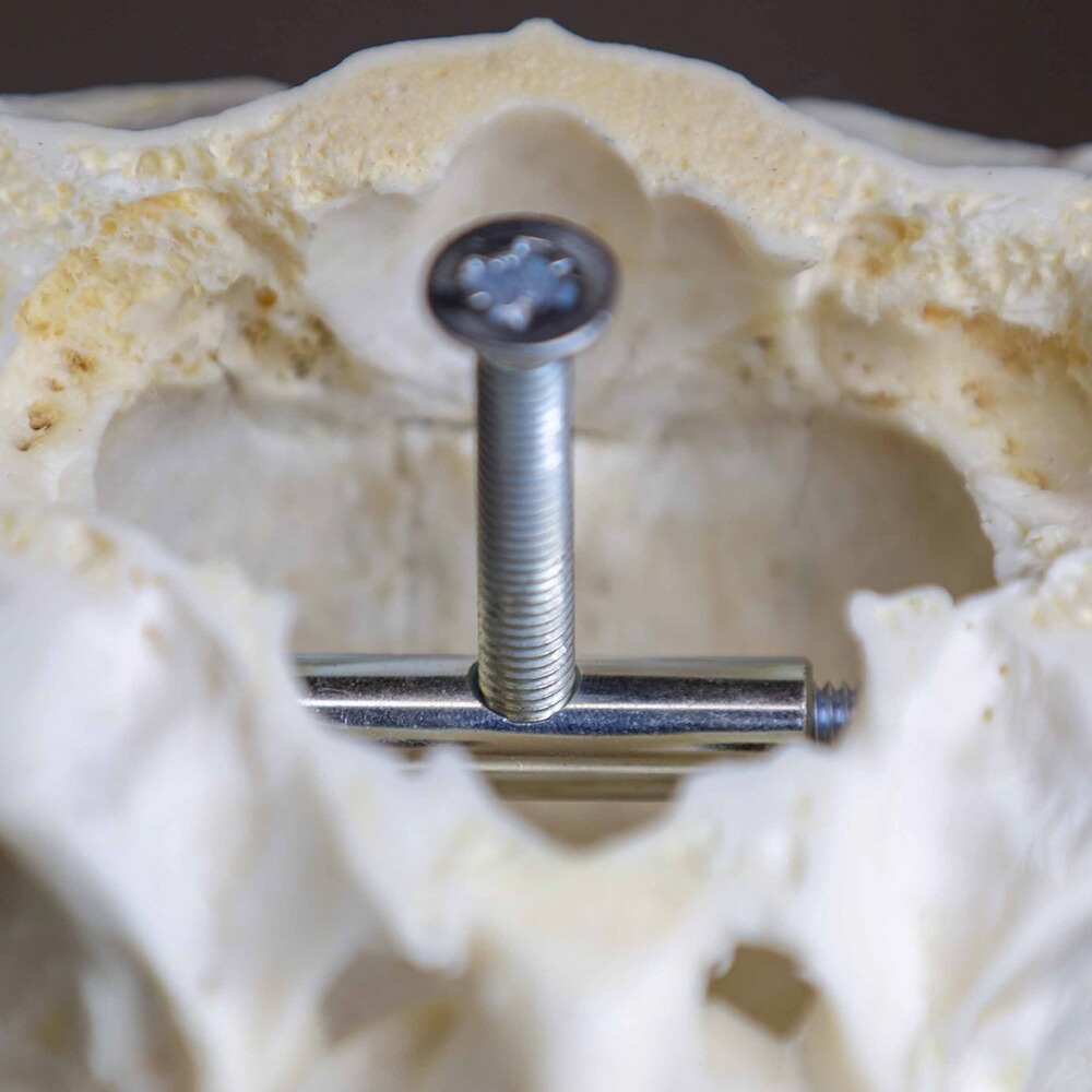 Trophäenhalterung Hirsch, EUROHUNT