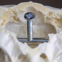 Trophäenhalterung Hirsch, EUROHUNT