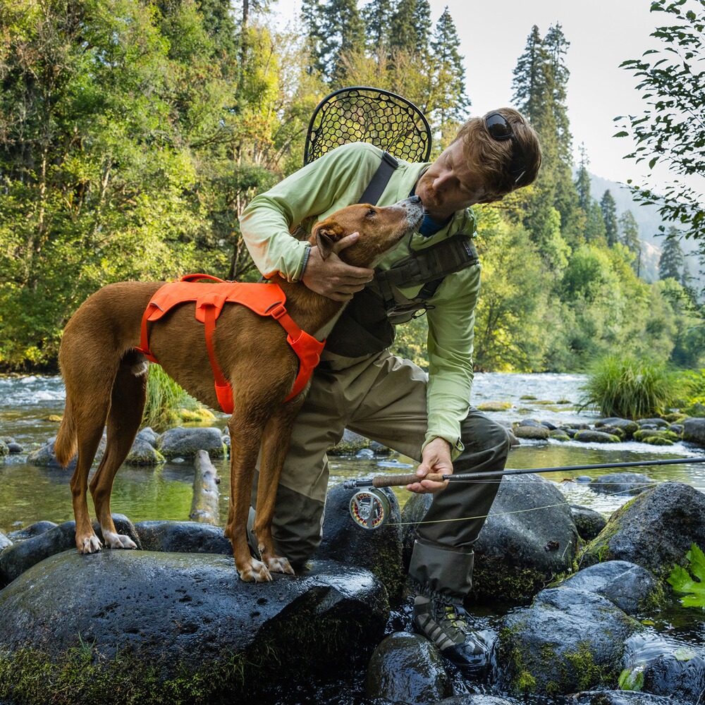 Hundegeschirr Web Master™, Ruffwear