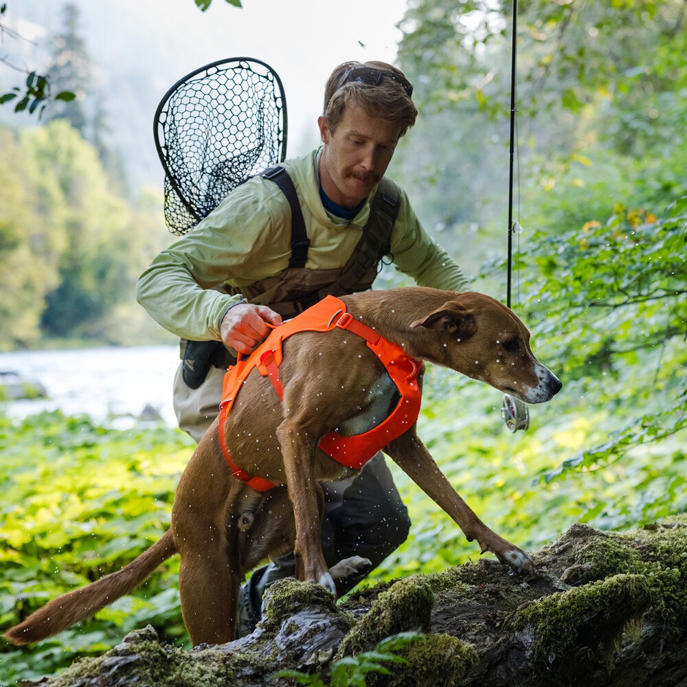 Hundegeschirr Web Master™, Ruffwear