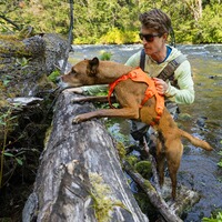 Hundegeschirr Web Master™, Ruffwear