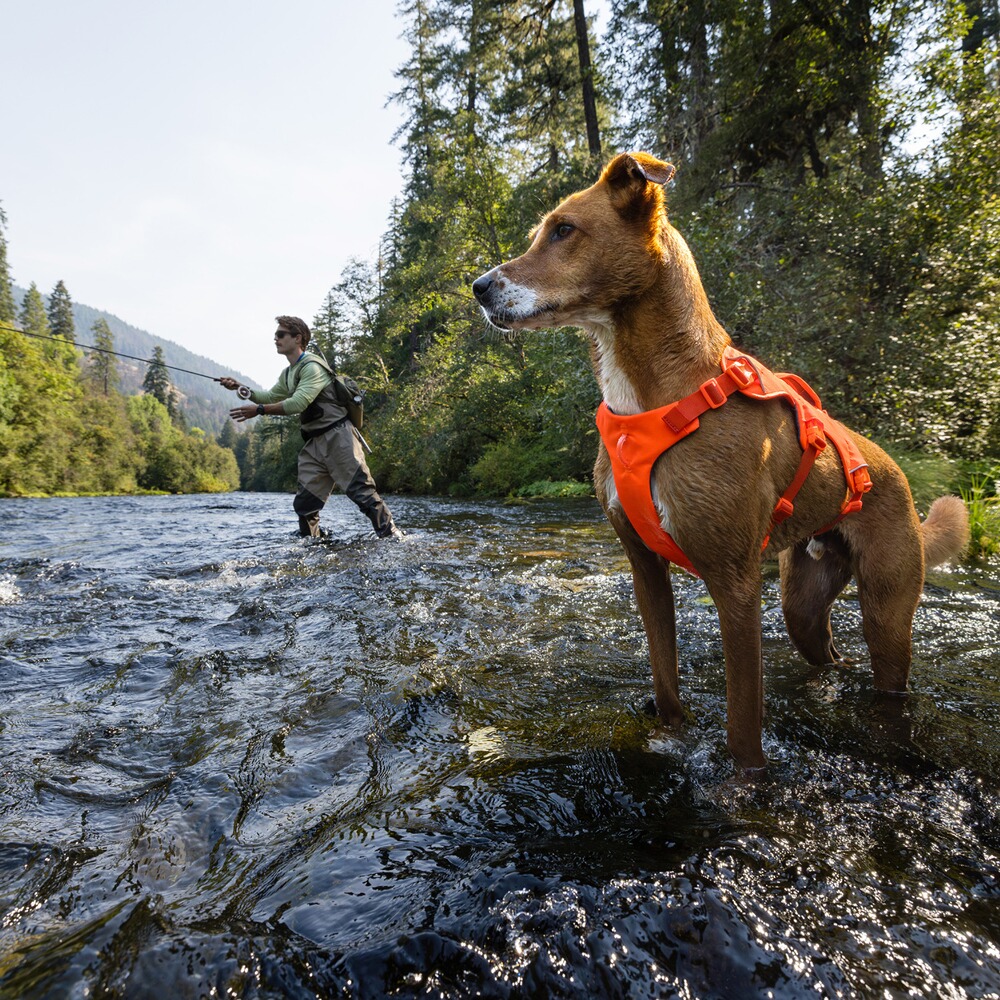 Hundegeschirr Web Master™, Ruffwear