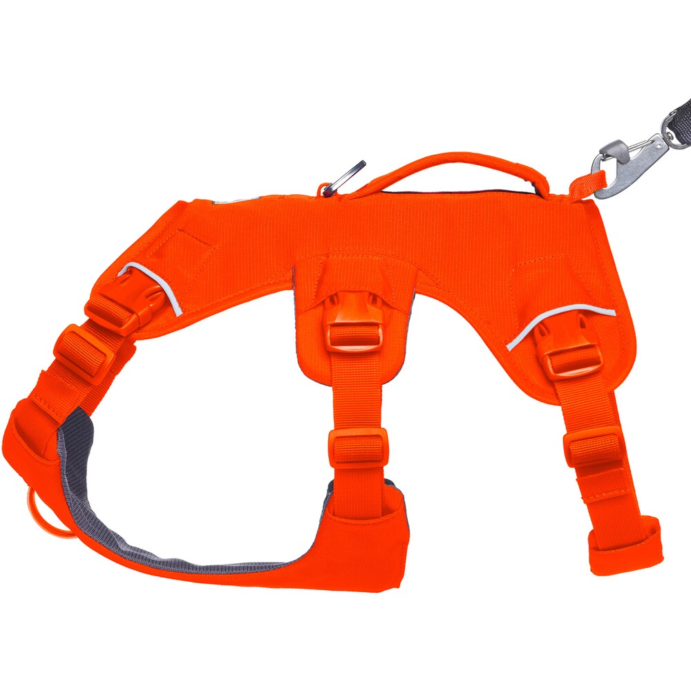 Hundegeschirr Web Master™, Ruffwear