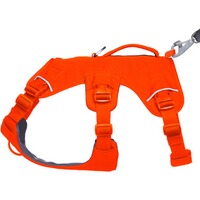 Hundegeschirr Web Master™, Ruffwear