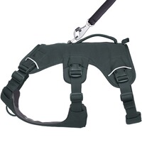 Hundegeschirr Web Master™, Ruffwear