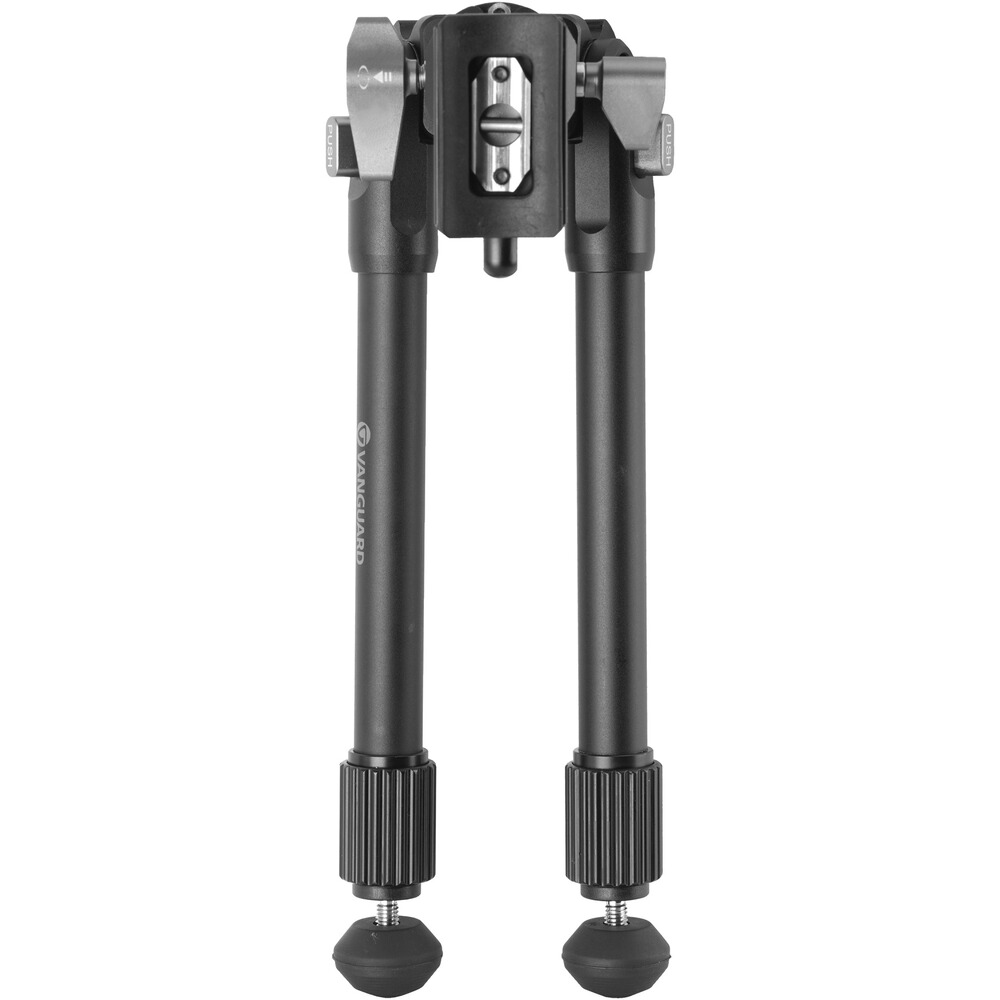 Zweibein EQ-Precision 2QS, Vanguard