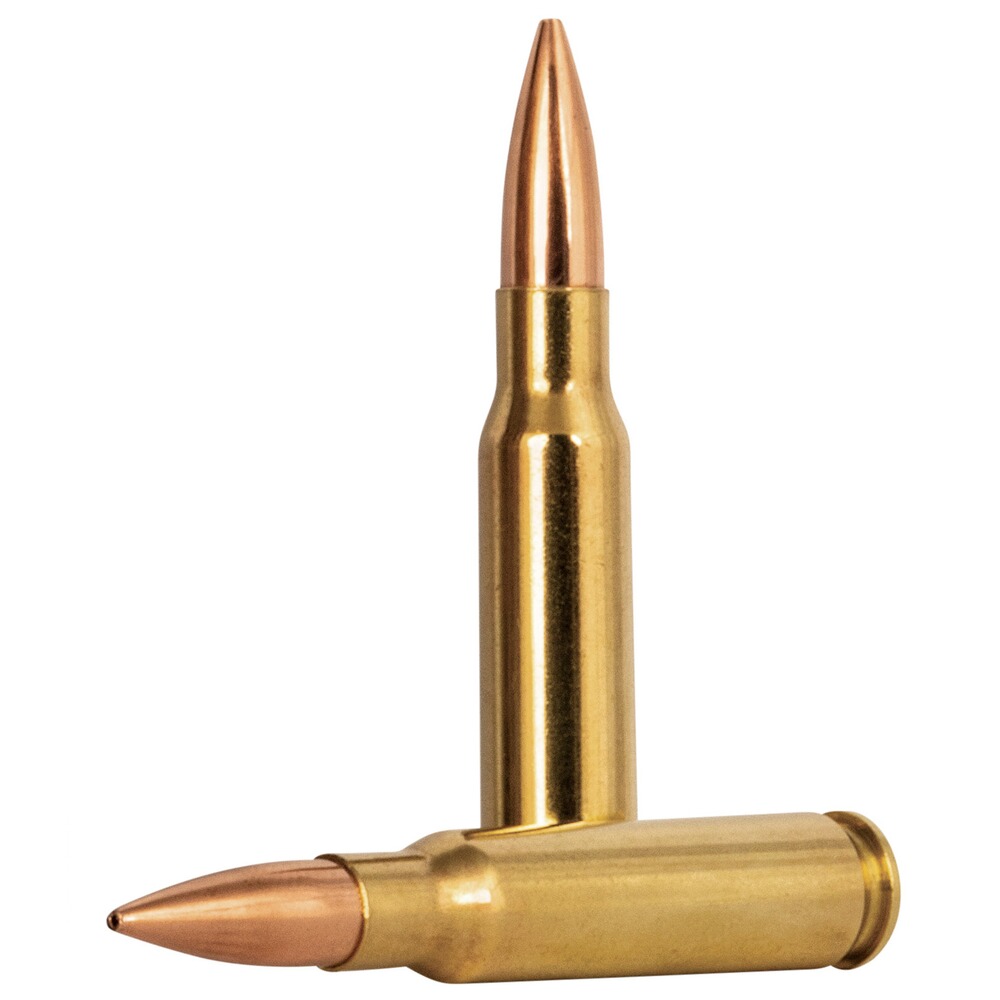 .308 Win. Gold Medal CenterStrike BTHP OTM 10,9g/168grs., Federal Ammunition