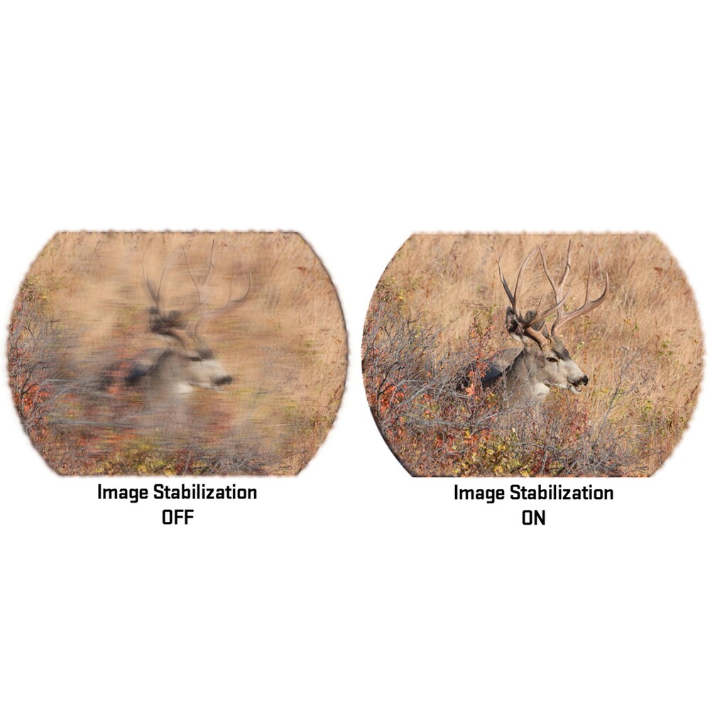 Fernglas Zulu6 HDX PRO 16x50, SIG Electro-Optics