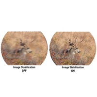 Fernglas Zulu6 HDX PRO 16x50, SIG Electro-Optics